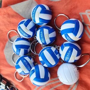 Lot of 10 Volleyball Key Chains on ring